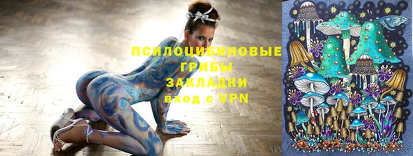 ALPHA PVP Медвежьегорск