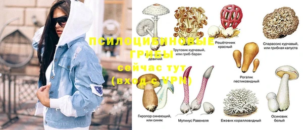 MESCALINE Медногорск