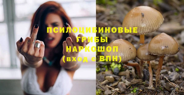 бошки Михайловка