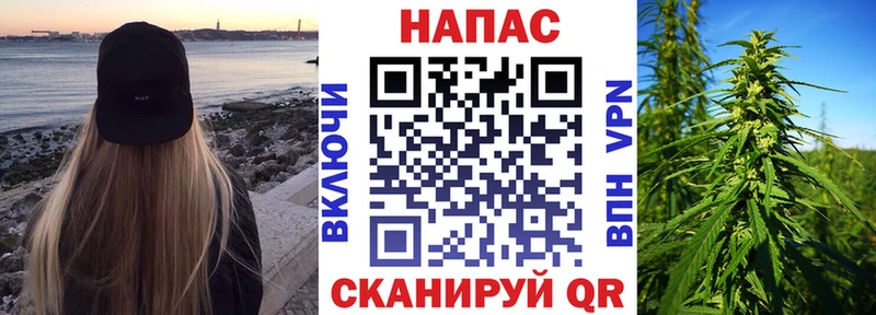 купить   Никольск  Конопля сатива 